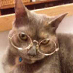 Meet your Posher, Daisy